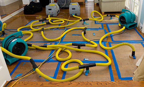 Professional Crawl Space Water Removal technician working in Jackson, MI